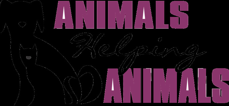 Animals Helping Animals
