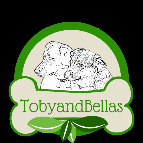 TobyandBellas